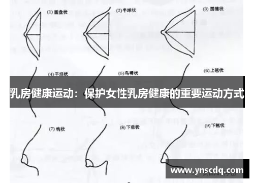 乳房健康运动：保护女性乳房健康的重要运动方式