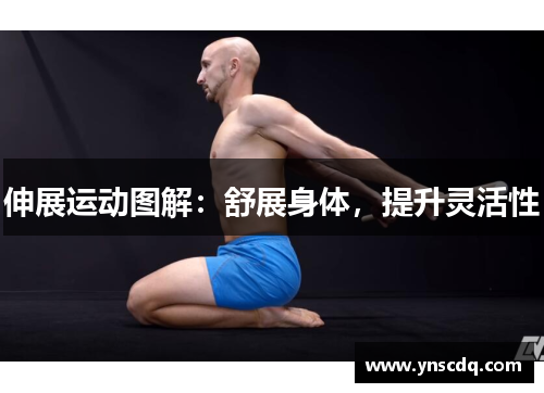伸展运动图解：舒展身体，提升灵活性