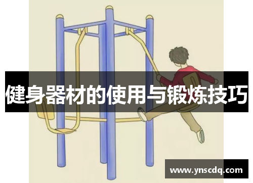 健身器材的使用与锻炼技巧
