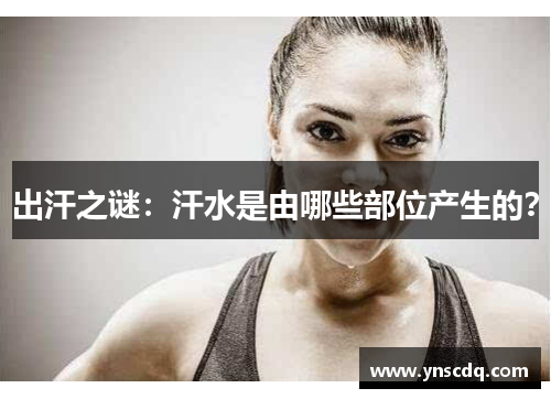出汗之谜：汗水是由哪些部位产生的？