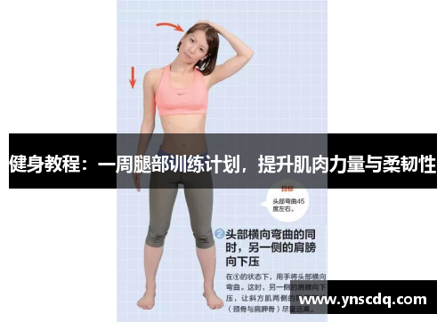 健身教程：一周腿部训练计划，提升肌肉力量与柔韧性