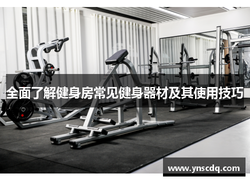 全面了解健身房常见健身器材及其使用技巧