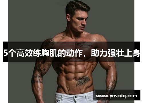 5个高效练胸肌的动作，助力强壮上身