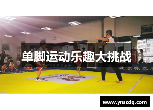 单脚运动乐趣大挑战