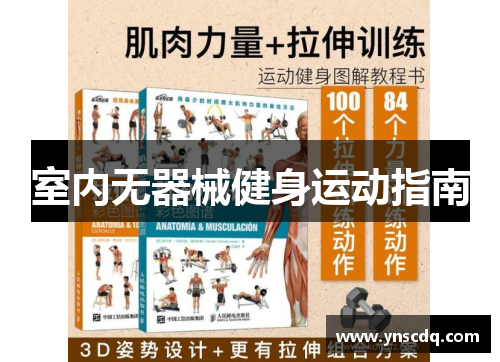室内无器械健身运动指南