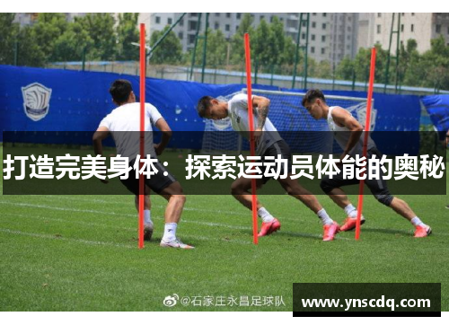 打造完美身体：探索运动员体能的奥秘