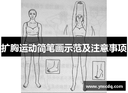 扩胸运动简笔画示范及注意事项