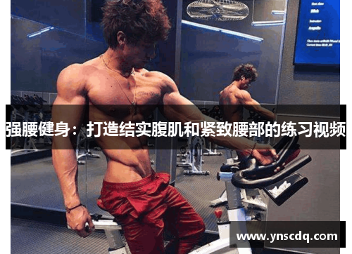 强腰健身：打造结实腹肌和紧致腰部的练习视频