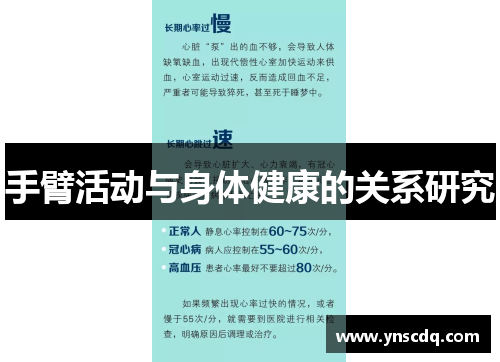手臂活动与身体健康的关系研究