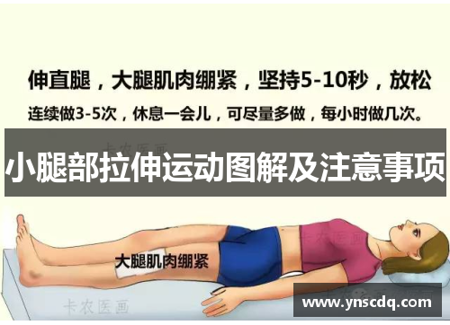 小腿部拉伸运动图解及注意事项