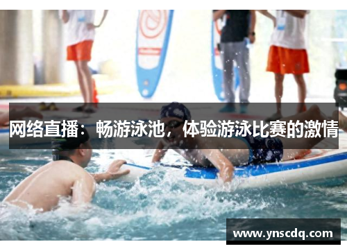 网络直播：畅游泳池，体验游泳比赛的激情